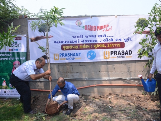 Tree plantation in Prashant Group